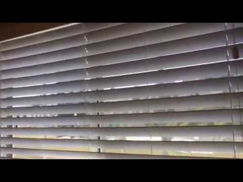 Echo Park Studio for you off Sunset