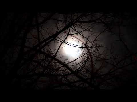Dark Haunting Background Cinematic Track/ Free Download Cinematic Music/Piste de fond cinématique