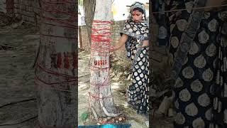 Download lagu pati parmeshwar #hindisong #shortsvideo mp3