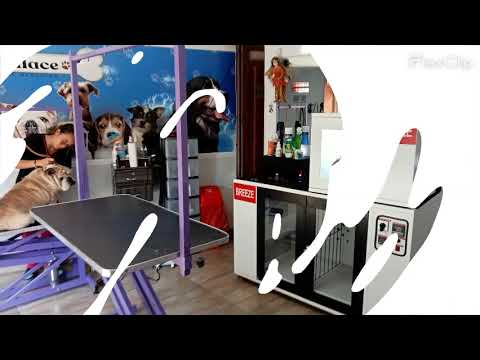 CABINA DE SECADO DE MASCOTAS ANTIESTRES