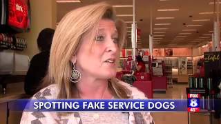 SDWR Diabetic Alert Dog on Fox 8 News