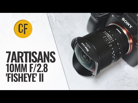 Video thumbnail for Video Review 1
