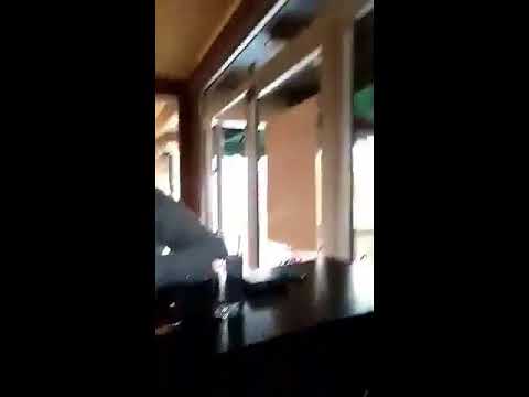 Rep smjesno Sisak 26.2.2017