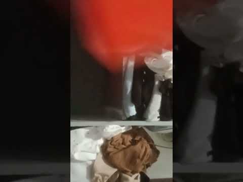 rate this gun 1/10 #cat " #memes #gato #gun