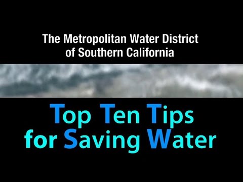Conservation: Water Saving Tips