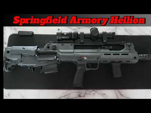 The Springfield Armory Hellion - Should You Buy One?