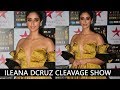 Ileana Dcruz Cleavage Show In Golden Strapless Dress At Star Screen Awards 2018 02