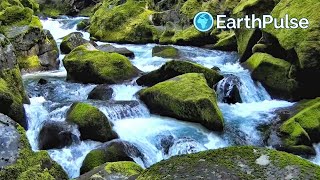 Valley, Sound of a valley | Healing music, insomnia, deep sleep, study music, stress relief, nature