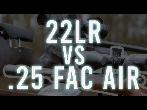 22LR vs .25 FAC Air Rifle - The answer that everyone wants to know ??... Again!
