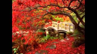 YA NO QUIERO EXTRAÑARTE grupo duelo