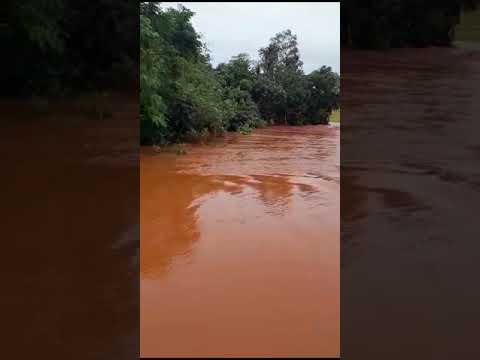 #chuvas no #Paraná | Santa Lúcia, região de Capitão Leônidas Marques, Lindoeste | Canal Rural