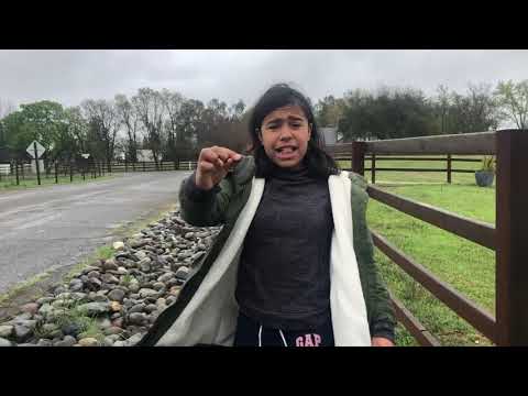 Corona Virus Home School Field Trip