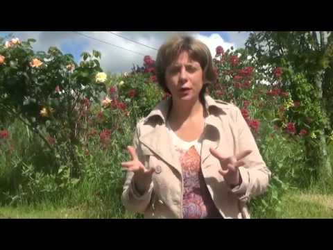 comment soigner une allergie à l'iode