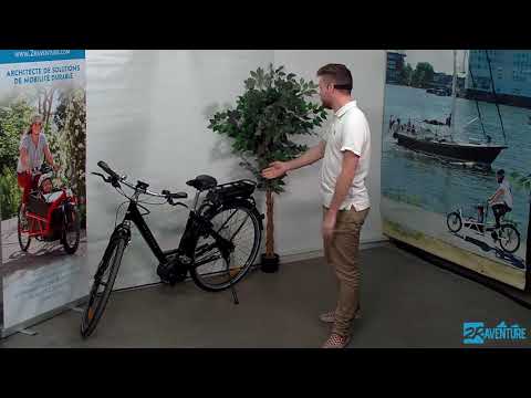 Vélo à assistance électrique Wanderer E600