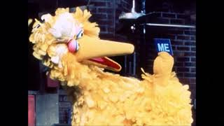 Sesame Street wonderful me big bird instrumental