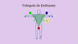 Neumocardio (Parte 2) - Profundizaciones