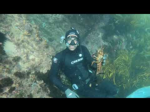 My Salty Encounters - Rick Gatt