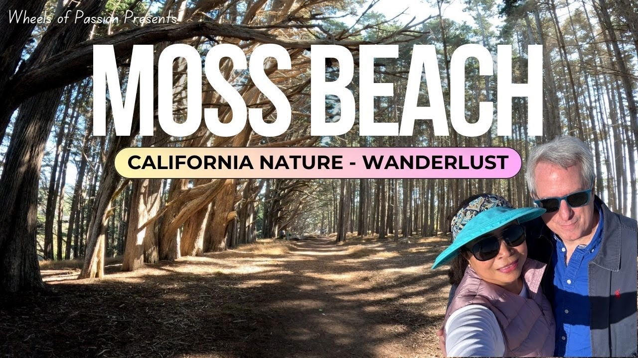 Secrets of Moss Beach Revealed