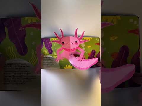 Vimeo