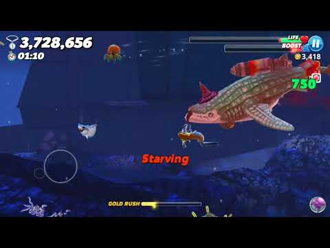 Hungry shark WORLD harbor