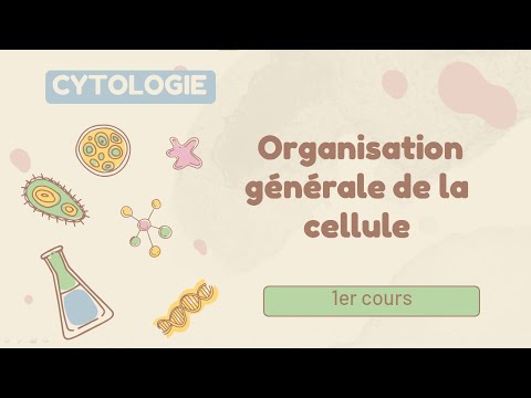 Cytology | General cell organization - 1st year medical course