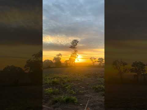 Nascer do Sol  -  Mandaguaçu Paraná