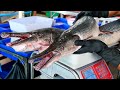 Thai Food RIVER MONSTER Alligator Gar Barbecue Bangkok Seafood Thailand