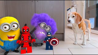 Animations in REAL LIFE vs Funny Dogs 🥳 | LEGO - MINIONS