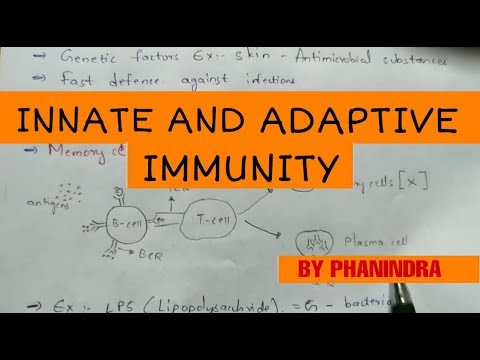Hypersensitivity Type 1 and Type 2