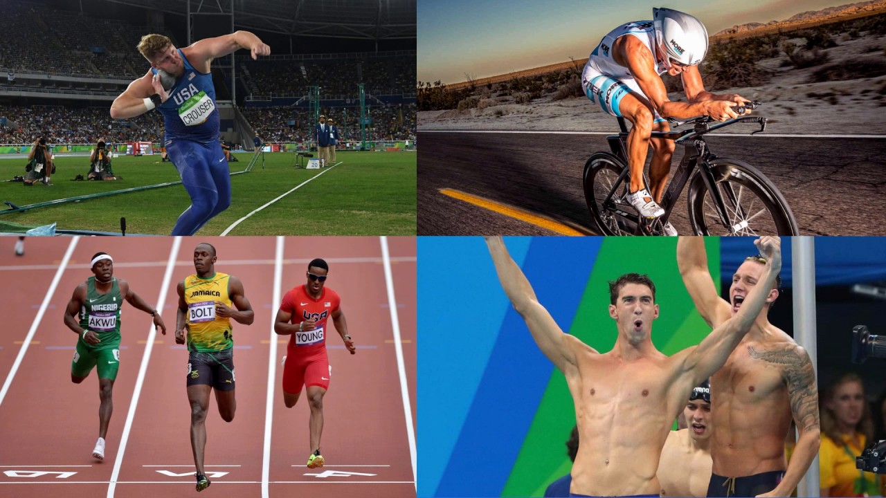 Aula 17 - Tipos de Fibras Musculares