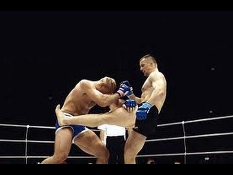 Mirko Cro Cop vs Heath Herring - Knees To The Head!
