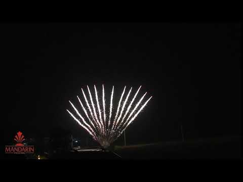 30) 1.2 Inch 13 shots single row Fan shape