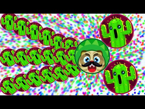 Agario Solo Epic Battle To The End With Cactus! (Agar.io Best Moments)