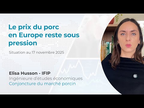 Prix du Porc et cheptel des truies en Europe (17/11/25)