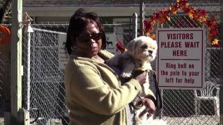 Animal Aid Society