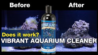Chroma Coral Color + 8oz 236ml