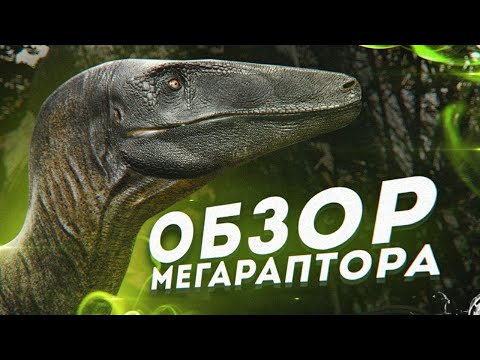 ТОПОВЫЙ ГАЙД НА МЕГАРАПТОРА В ИГРЕ BEASTS OF BERMUDA