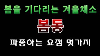 [텃밭농부. 1,262]  겨울철의 맛있는 봄동. 파종하기 요점정리