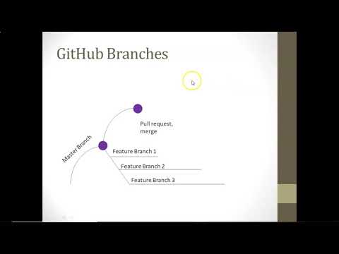 Working with Git/GitHub Branches and Pull Requests in Visual Studio 2019: Hands On Example