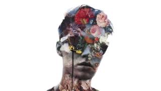 dwilly - Birds And The Bees [feat. Kyle Thornton]