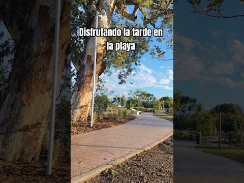 Hermosa Tarde en la #playa de  #paysandu