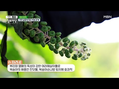 , title : '친환경 복숭아 재배를 성공할 수 있었던 비법은?! MBN 210723 방송'
