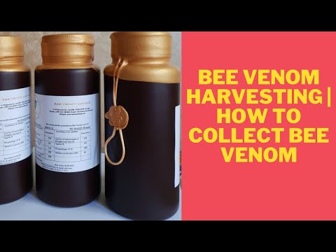 Bee Venom Harvesting | How we Collect Bee Venom