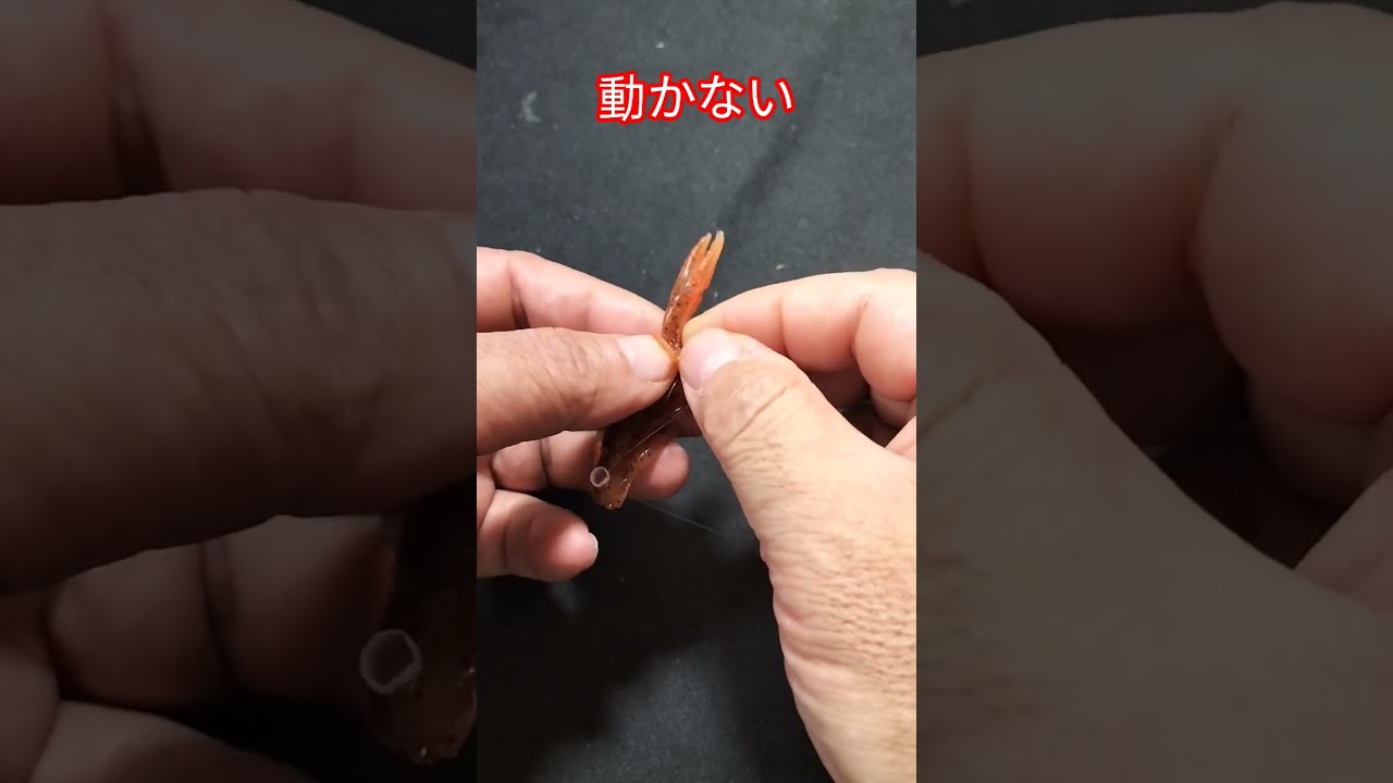 エビ反りアクション 【ソフトルアー】#anglerghost #fishing #バス釣り #shorts動画