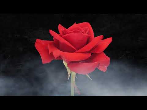 Premz- Faith (Prod. Inertia) [Official Lyric Video]