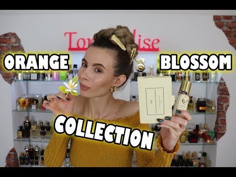 download lagu mp3 mp4 Orange Blossom Brand, download lagu Orange Blossom Brand gratis, unduh video klip Orange Blossom Brand