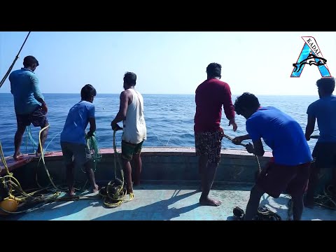 Amazing Fastest Giant Bluefin Tuna Fishing Skill - Most Satisfying Sea Fishing Video @FISH_TV