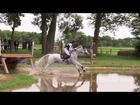 GN FFE - AC Print de CCE - Le Lion d'Angers : Cross