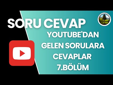 SORU CEVAP: Youtube'dan Gelen Sorulara Cevaplar 7.Bölüm | Synergy Kendiyas |