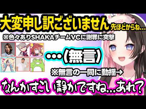スクリムでSHAKAチームのVCに謝罪にいくも無言の一同に動揺するひなーのｗｗ【橘ひなの/花芽すみれ/猫汰つな/白波らむね/銀城サイネ/ぶいすぽ】